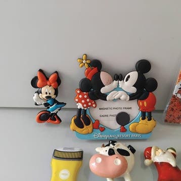 Themacollectie - Koelkastmagneten. Souvenirs, dieren,