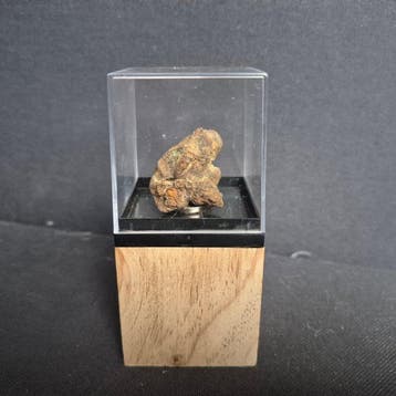 Météorite pallasite de Sericho en exposition - pallasite -