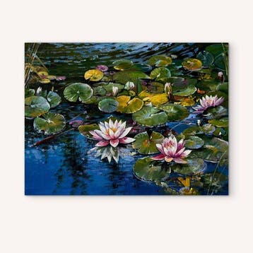 Alexander Nakonechnyi (XX-XXI) - Water Lilies