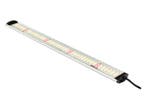 Apollo Falcon 60 PRO LED Kweeklamp Dimbaar, Verzenden, Nieuw