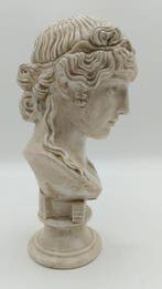 sculptuur, Busto di Antinoo - 27 cm - marmerstof