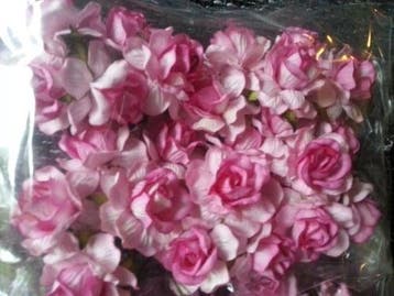 Mulberry Roos Pink Roze 2tone 5 cm pak, Hobby en Vrije tijd, Knutselen, Nieuw