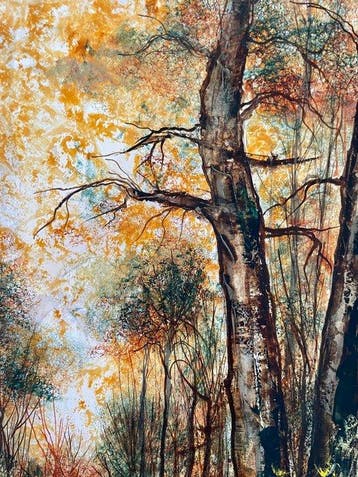 Pierre Mas (1933) - Sous-bois en automne
