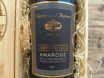 2013 Tenuta SantAntonio, Campo dei Gigli - Amarone della, Collections