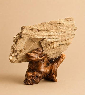 Figuur - Fossilized mamut ivory 4000 years ago - Ivoor, Antiek en Kunst
