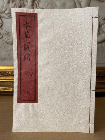 Tsunemasa Iwasaki - - Illustrated Compendium of