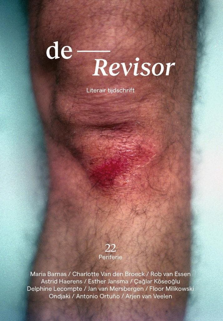 Revisor 22 (9789021419237), Boeken, Romans, Nieuw, Verzenden