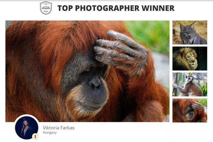 Viktoria Farkas - Monday Mood - Unframed Premium Fine Art, Antiek en Kunst, Kunst | Designobjecten