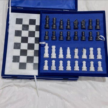 Vintage Luxury Chess Set with Carved Black & White Pieces –