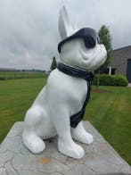 Beeld, funny dog with sunglasses in white color - 60 cm -