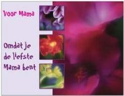 Kaart Omdat je de Liefste Mama Bent, Nieuw