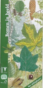 Bomen in beeld / In beeld / 11 9789050111881 F. Bos, Verzenden, Gelezen, F. Bos