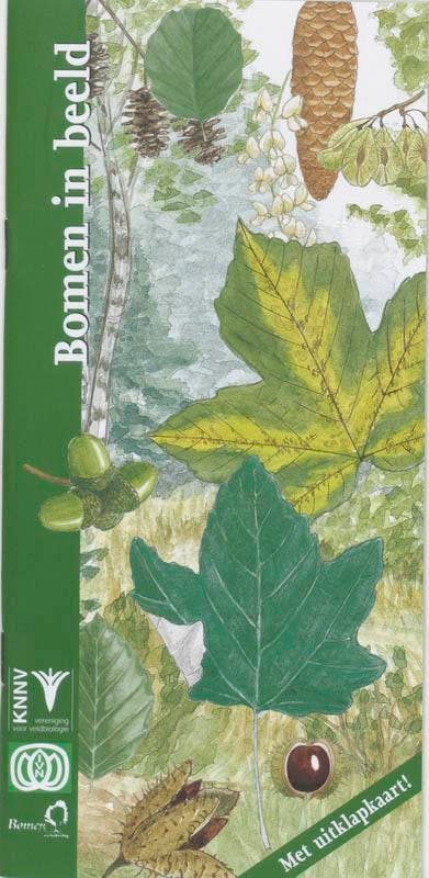 Bomen in beeld / In beeld / 11 9789050111881 F. Bos, Livres, Loisirs & Temps libre, Envoi