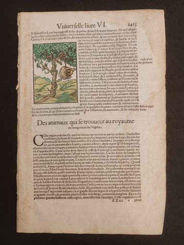 Sebastian Münster (1489–1552) - Cosmographie Universelle -
