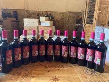 2024 Villa Poggio Salvi, Rosso di Montalcino - Toscane - 12, Nieuw