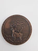 Penning - Coppia di Medaglie commemorative in bronzo