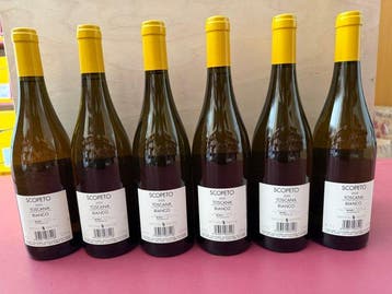 2020 Bibi Graetz, Scopeto - Toscane - 6 Flessen (0.75 liter)