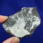 Siliciumgesteente IJzermeteoriet Campo del Cielo