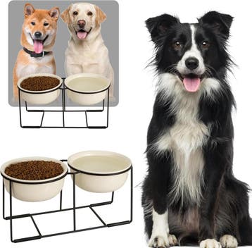 Verhoogde hondenvoerbak 2x1600ml | -51% Retour deal | Sla..., Animaux & Accessoires, Nourriture & Bols pour chiens, Verzenden