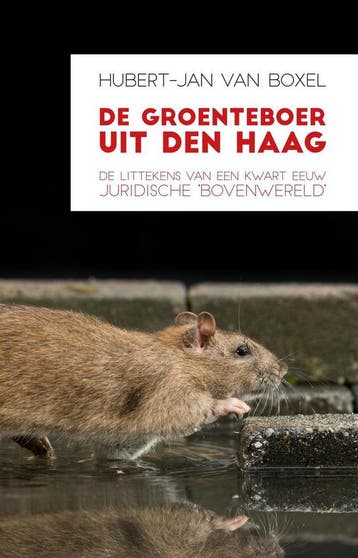 De groenteboer uit Den Haag 9789463231862, Verzenden, Zo goed als nieuw, Hubert-Jan van Boxel