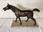 Sculpture, Paard - 30 cm - Bronze