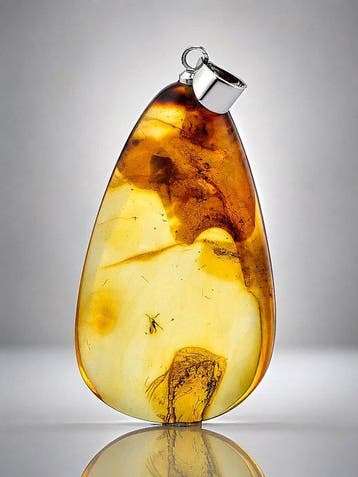 Pendentif de collection en ambre balte – Moustique