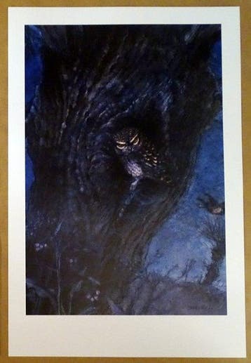 Hausman, René - 3 Offset Print - Hiboux, chouette et, Boeken, Nieuw