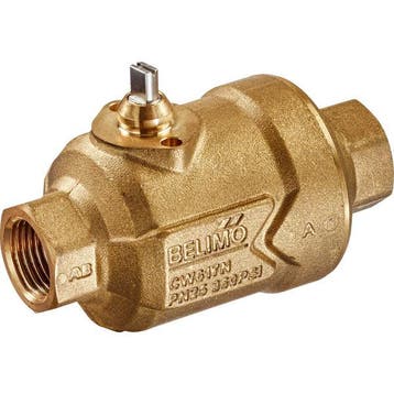 Belimo Vanne De Zone PI Rp1/2 Kvs0.21 C215QP-B, Verzenden
