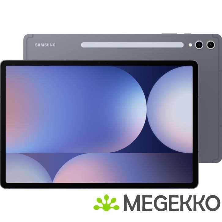 Samsung Galaxy Tab S10+ 256GB 12.4  Grijs, Informatique & Logiciels, Ordinateurs & Logiciels Autre, Envoi