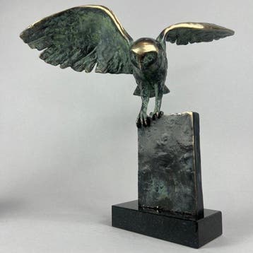 J. Zak (XX-XXI) - The owl - Bronze, Antiek en Kunst