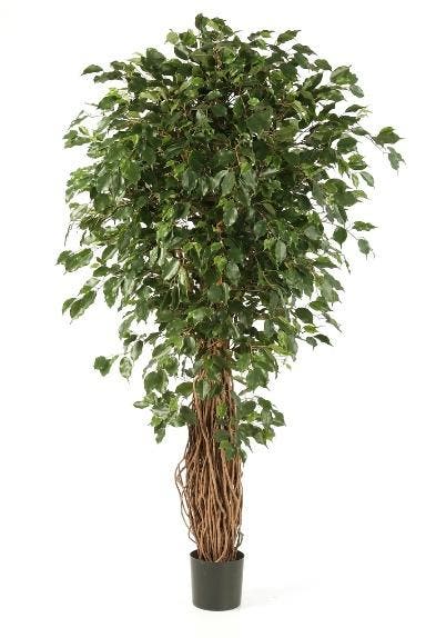 Kunstplant Ficus Liana Exotica 270 cm, Maison & Meubles, Plantes d'intérieur, Envoi