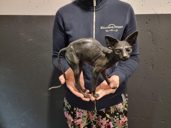 Beeld, Bronze Sphynx Cat Hand-Crafted - 21 cm - Brons - 2026, Antiek en Kunst, Kunst | Designobjecten