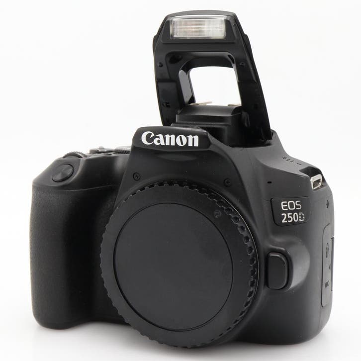 Canon EOS 250D body | Tweedehands, Audio, Tv en Foto, Fotocamera's Digitaal, Zo goed als nieuw, Canon, Verzenden