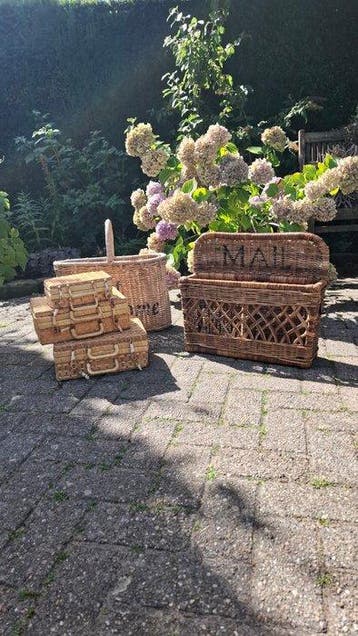 Mand (5) - Riet - Bamboe - Koffertjes - Manden
