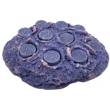 Achilles Frag Hub M Fiji, Dieren en Toebehoren