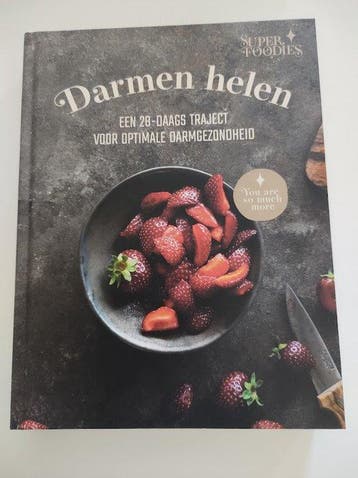 Darmen helen - een 28-daags traject voor optimale, Boeken, Verzenden, Zo goed als nieuw, Patricia Lautenschutz