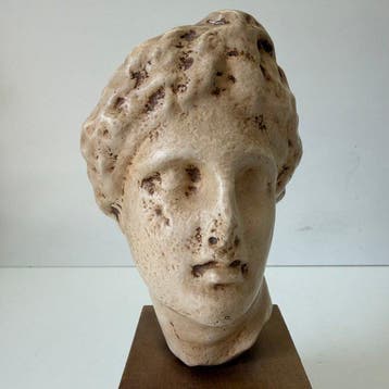 sculptuur, Buste Diane Jachtgodin - 25 cm - Composiet