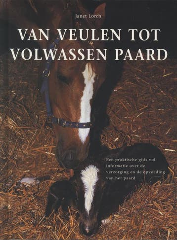 Van veulen tot volwassen paard 9789059203624 J. Lorch, Verzenden, Zo goed als nieuw, J. Lorch
