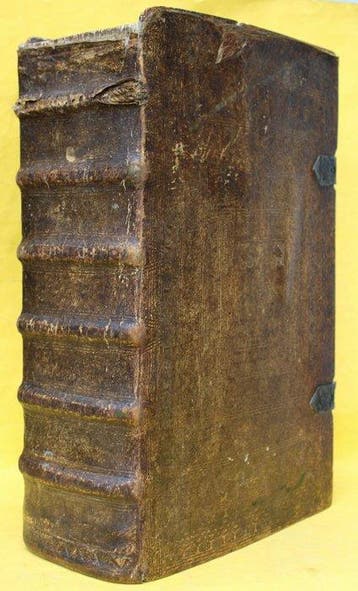 Grosse & schwere Bibel, Biblia Das ist: Die gantze Heilige, Antiek en Kunst