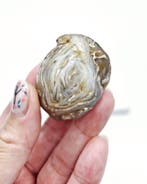 Water agaat - Enhydro Agaat (zie filmpje), Ophalen of Verzenden