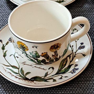 Villeroy & Boch - Koffie- en theeservies (12) - Botanica -