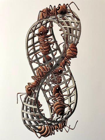 M.C. Escher (1898-1972) - Möbius Strip II (Red Ants)