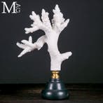 Mariene pracht: Witte koraaltak - Acropora florida op, Verzamelen, Nieuw