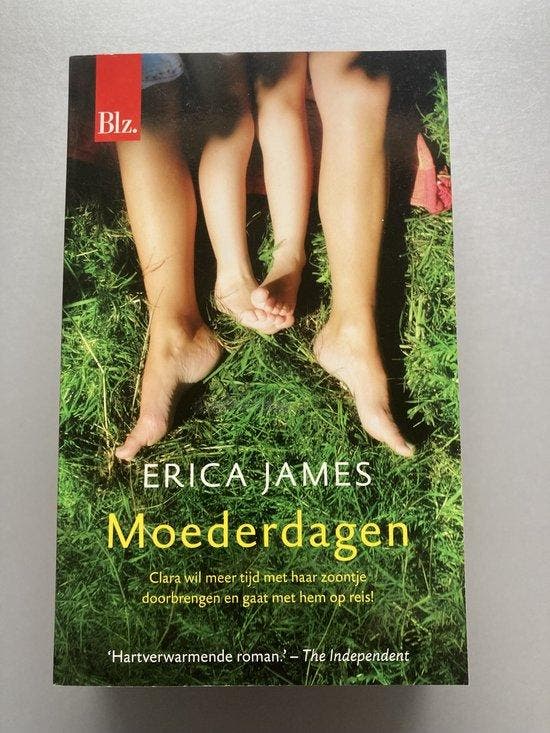 Moederdagen 9789032518004 Erica James, Livres, Livres Autre, Envoi