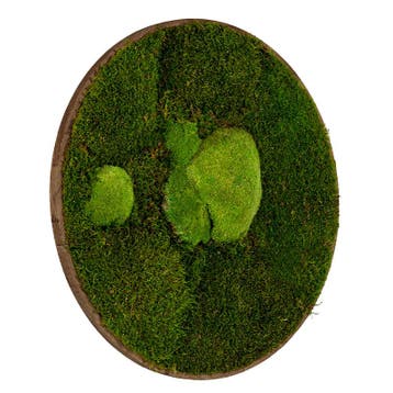 Mosschilderij Rond 40 cm Donker Eiken - Esbjerg, Verzenden, Nieuw
