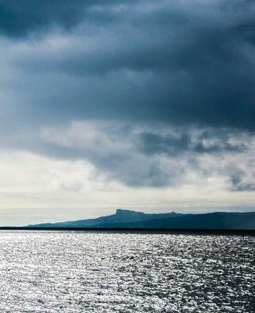 David Law - Bird on sea (Panoramique)
