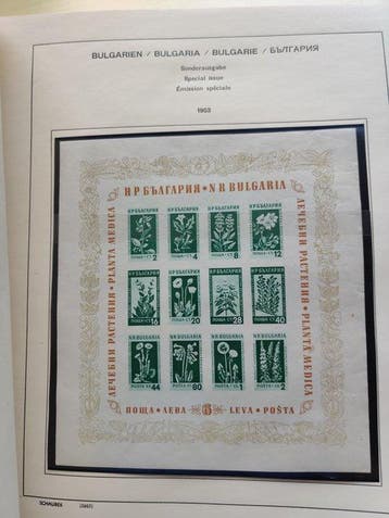 Roemenië 1879/1964 - Sterke verzameling In dik schaubeck, Gestempeld