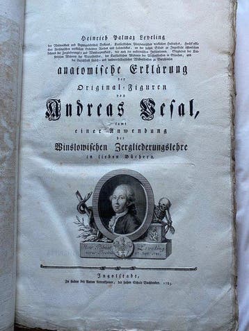 [Vesalius, Andreas] Leveling, Heinrich Palmaz - Anatomsche