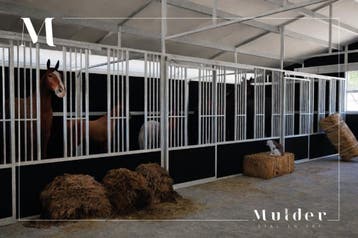 Groepshuisvesting paarden en veulens | Voerhekken | Voorraad, Dieren en Toebehoren, Weidegang, 4 paarden of pony's of meer