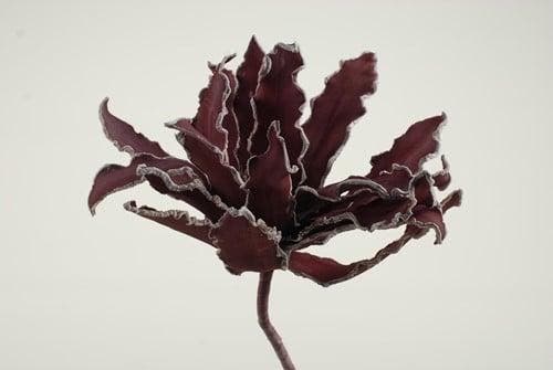 Cactus Ziggo Dark Rood Foam, Hobby & Loisirs créatifs, Bricolage